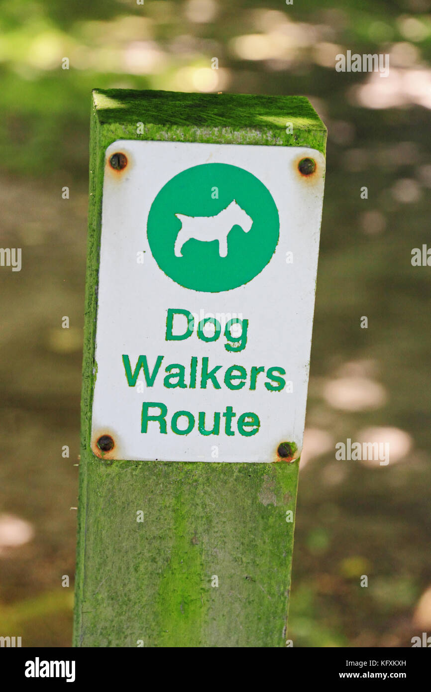Sign showing route for dog walking in park Stock Photo - Alamy