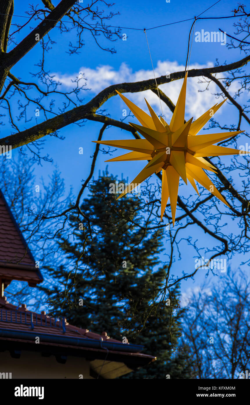 Moravian star hanging in a tree for lighting at Christmas time. Stock Photo