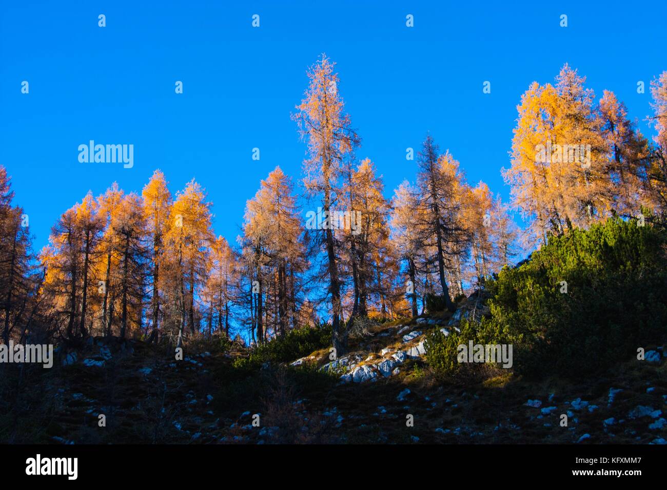 Autumn in mountains Stock Photo - Alamy