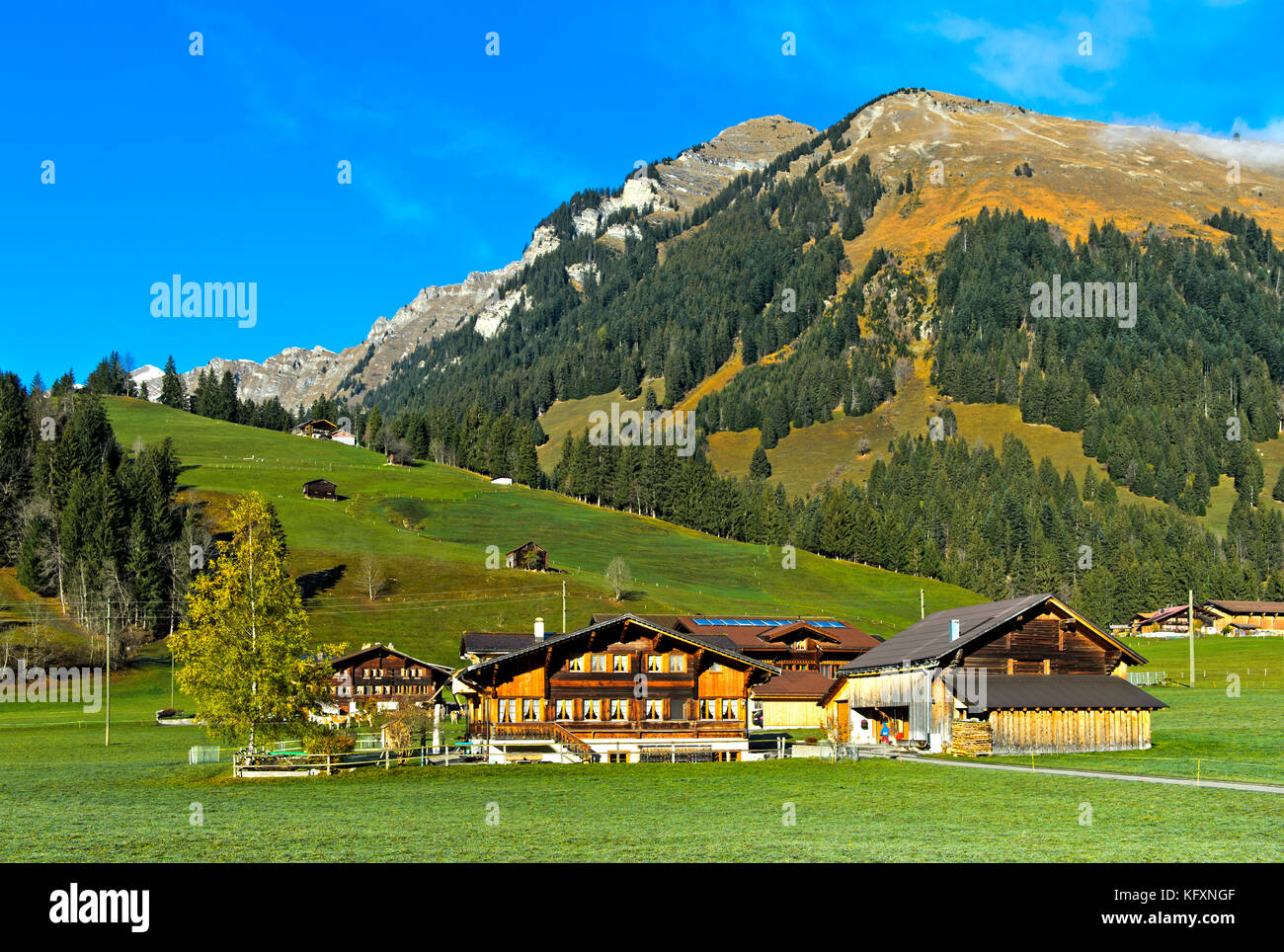 Farmhouses in Saanenland, Gsteig Feutersoey, Switzerland Stock Photo