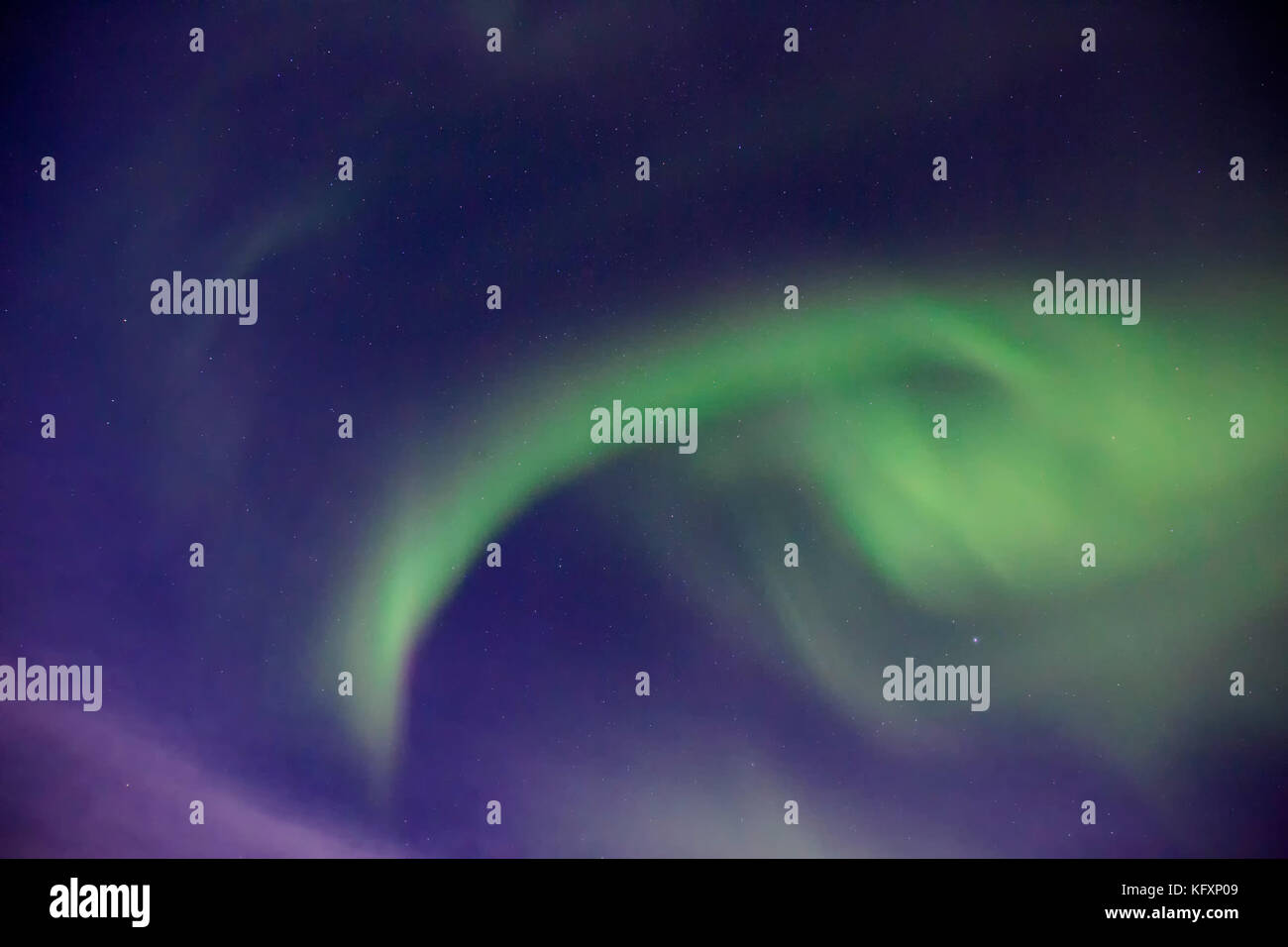 Northern Lights (Aurora borealis), Reine, Lofoten, Norway Stock Photo
