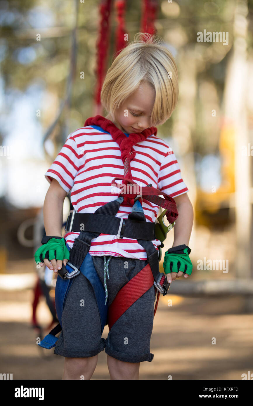 Harness boy hi-res stock photography and images - Alamy