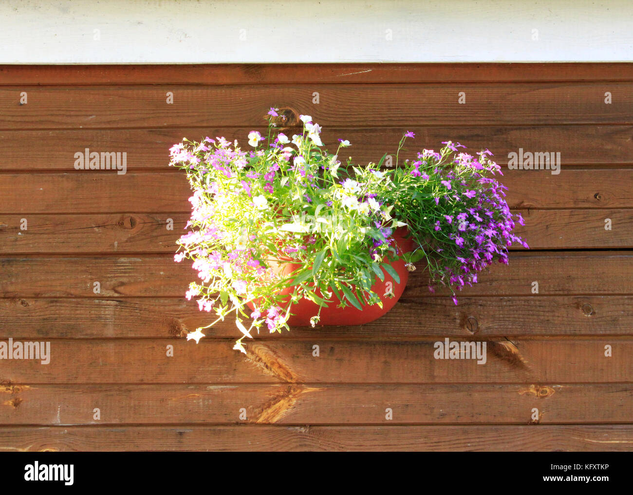 Wall planter Stock Photo