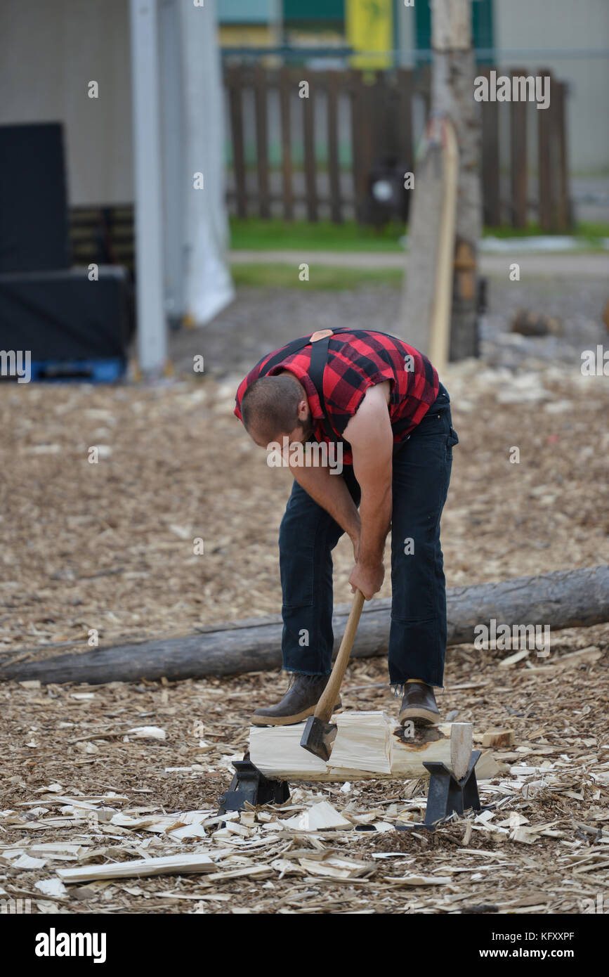 Lumberjack, wood chopping, woodchopper, wood chopper, show, Alaska
