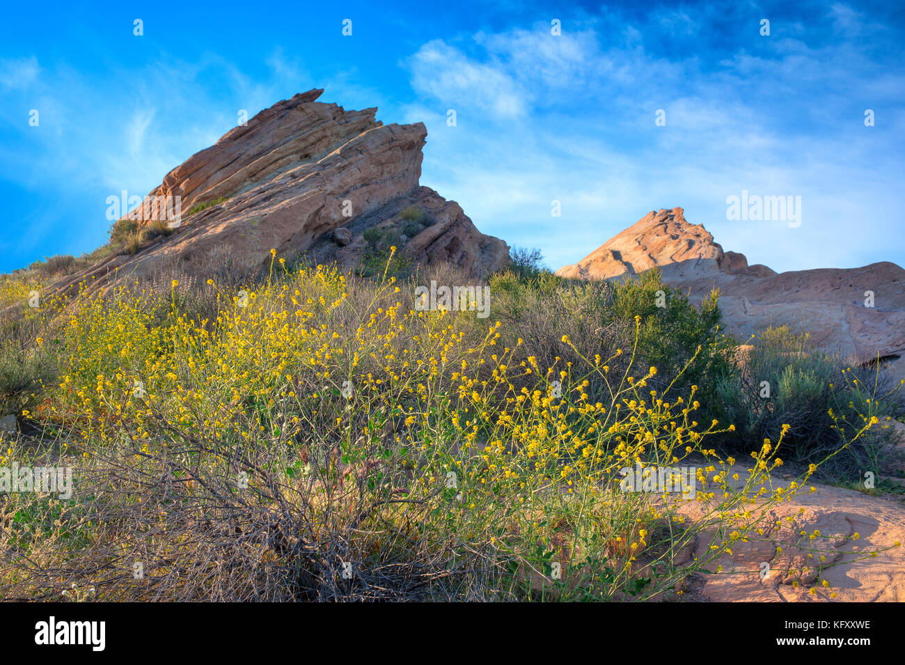 Iconic Vasquez Rocks with yellow blooming plants in the foreground photographed at sunset in Vasquez Rocks Natural Area Park, Santa Clarita, CA. Stock Photo