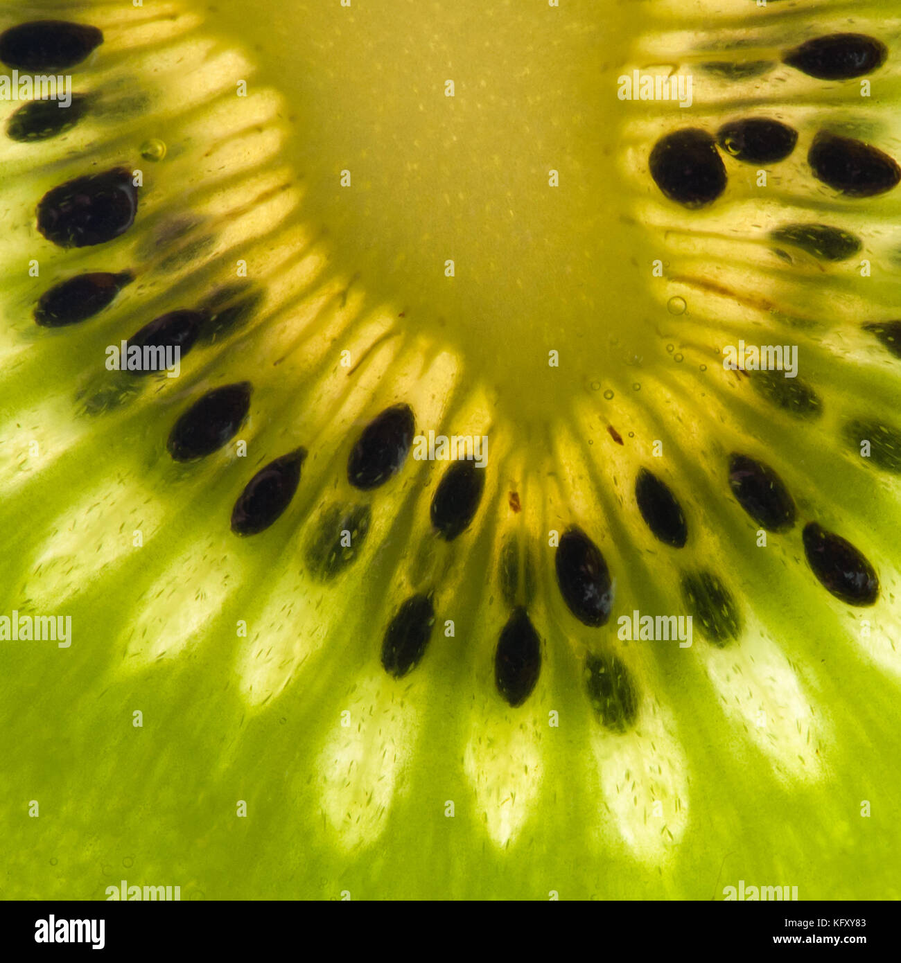 A closeup of the seeds within a kiwi fruit Stock Photo Alamy