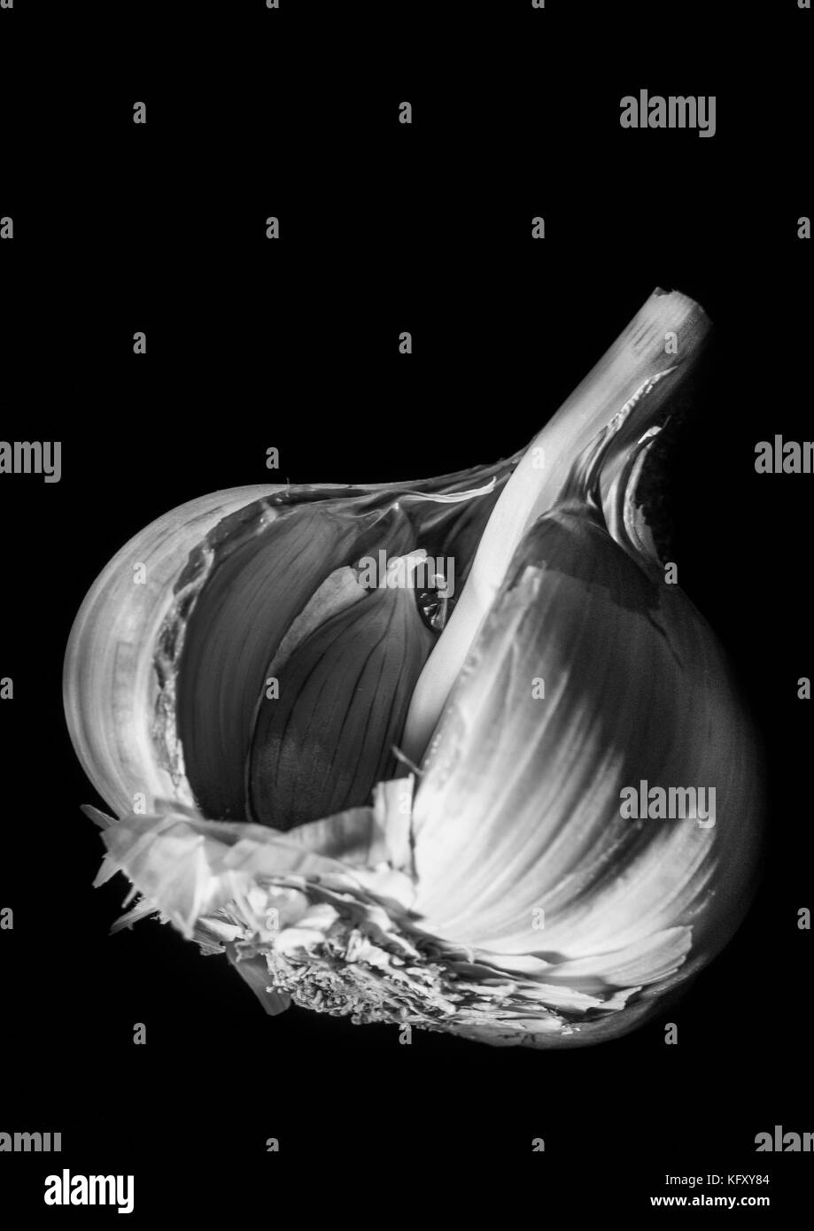 Garlic bulb cut out Black and White Stock Photos & Images - Alamy