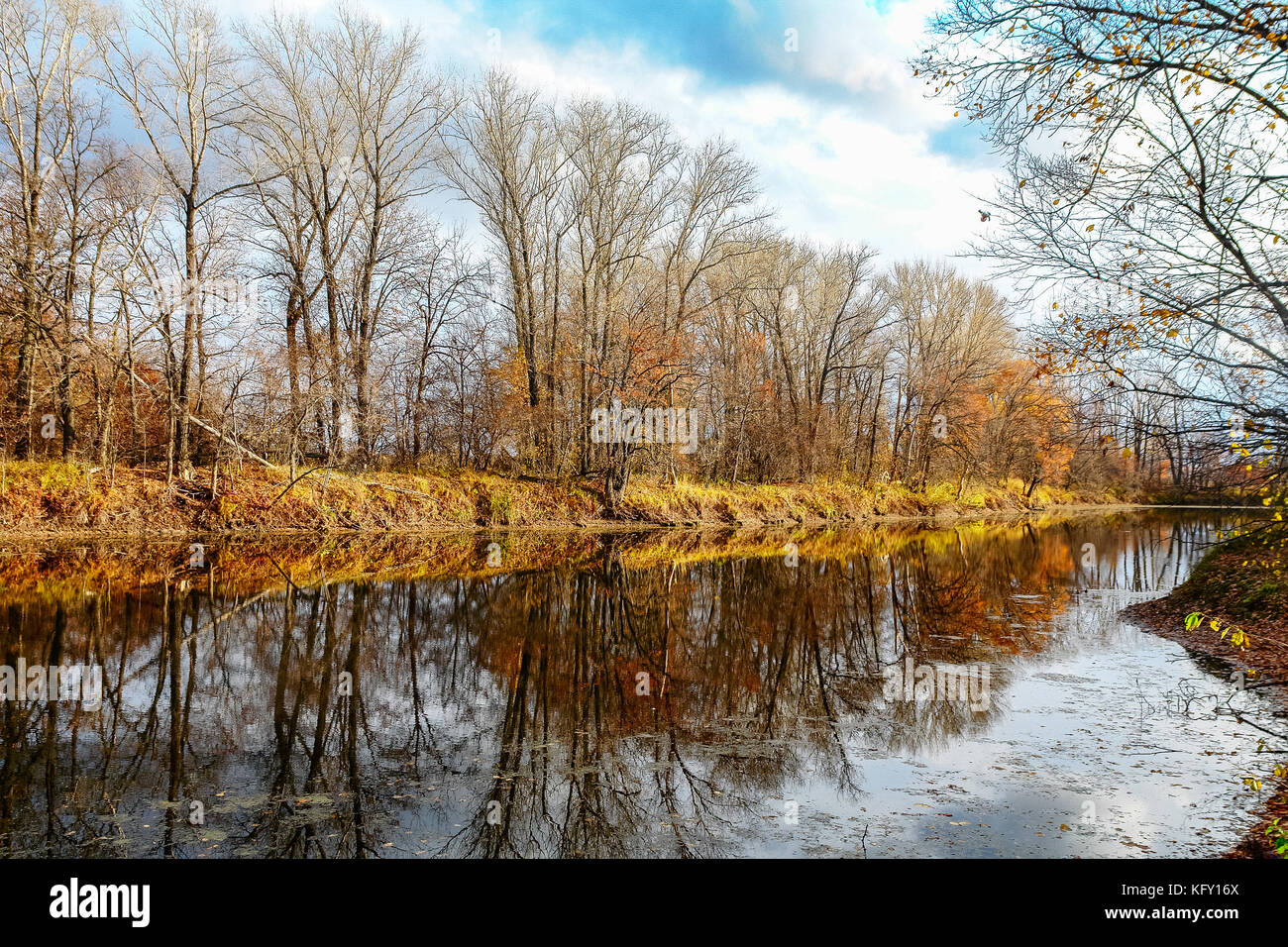 Forest lake in autumn forest Stock Photo - Alamy