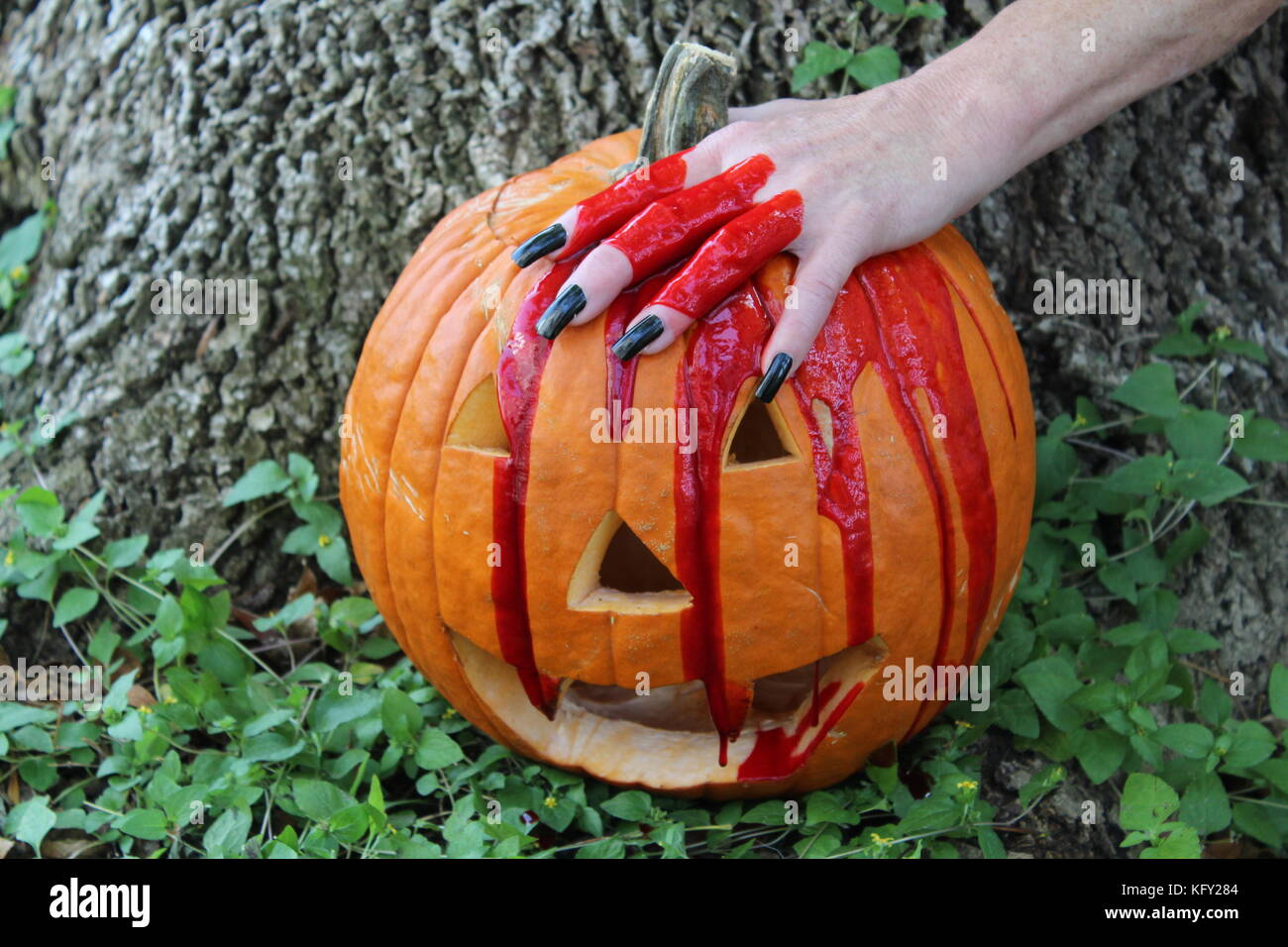 Bloody Hand And Pumpkin Stock Photo Alamy Bloody Hand And Pumpkin Stock Photo Alamy