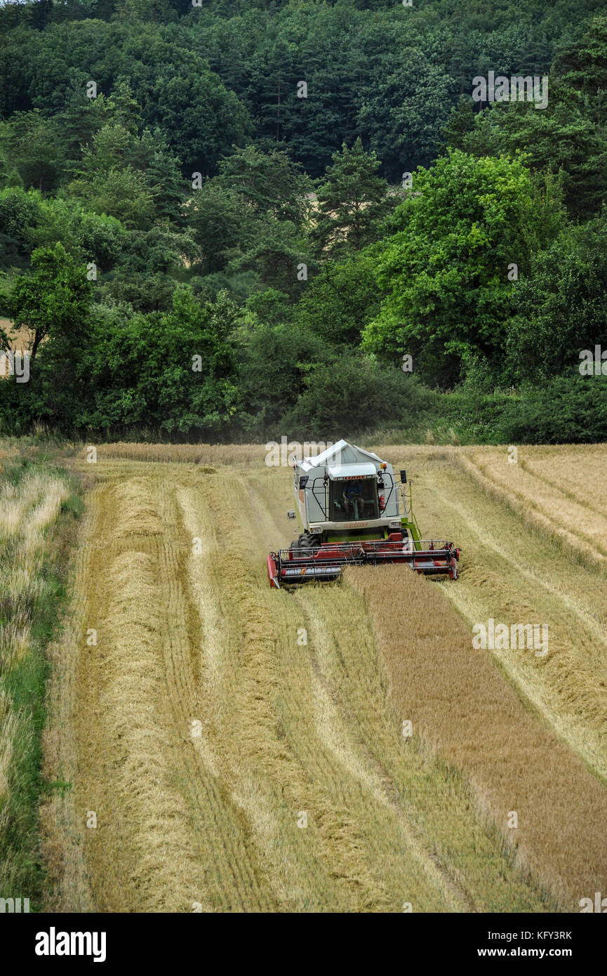 GERMANY, BAVARIA, A combine harvester working on a small field near Obereisbach in the Rhoen Mountains Stock Photo