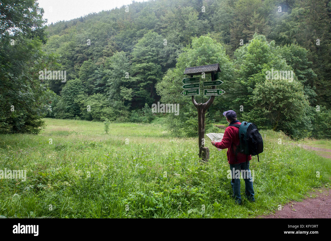 GERMANY,. Hiker getting orienation on a trail through de forest of Vessertal in Thuringia Stock Photo