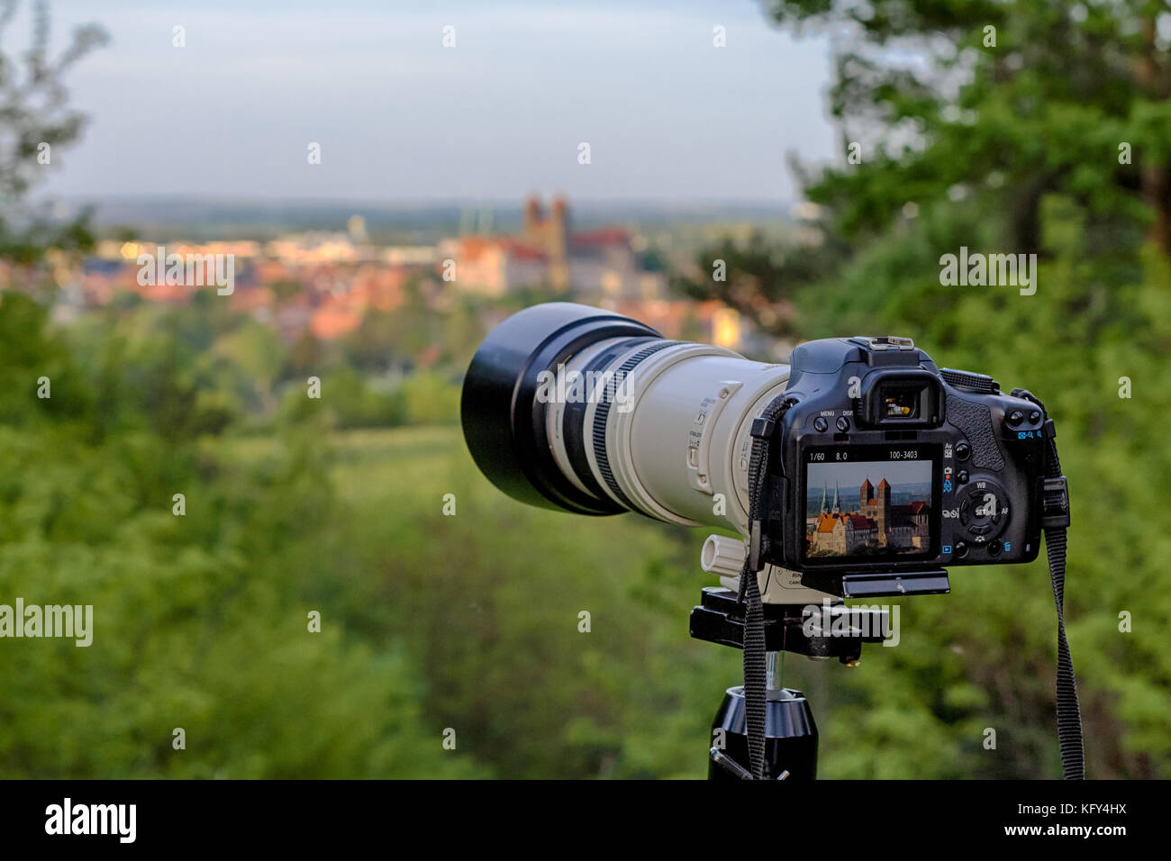 Blick auf das Quedlinburger Schloss Stock Photo