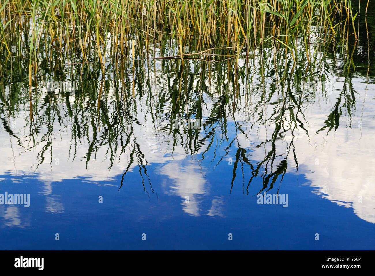 reflection of a calm blue sky with white clouds on the water of lake ...