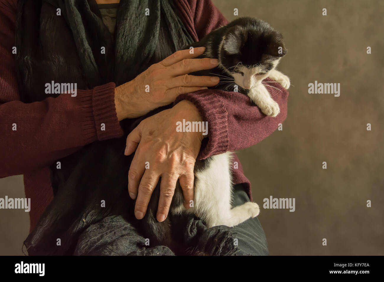 Old woman holding a black and white kitten Stock Photo