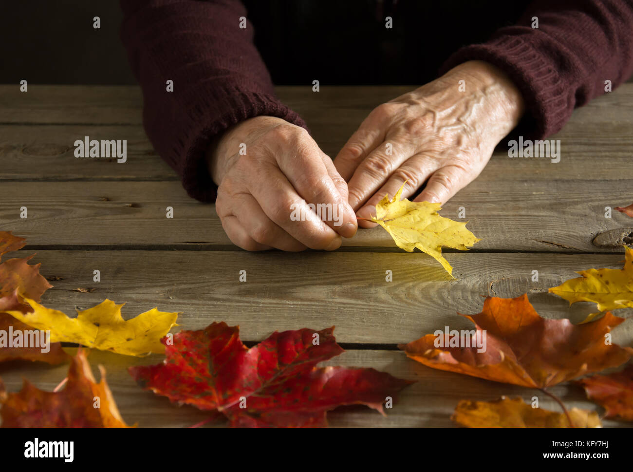 Hands of an old woman holding a yellow leaf Stock Photo