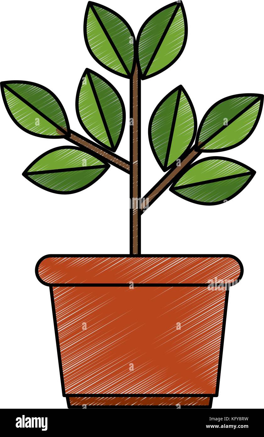 house plant in pot vector illustration design Stock Vector Image & Art ...