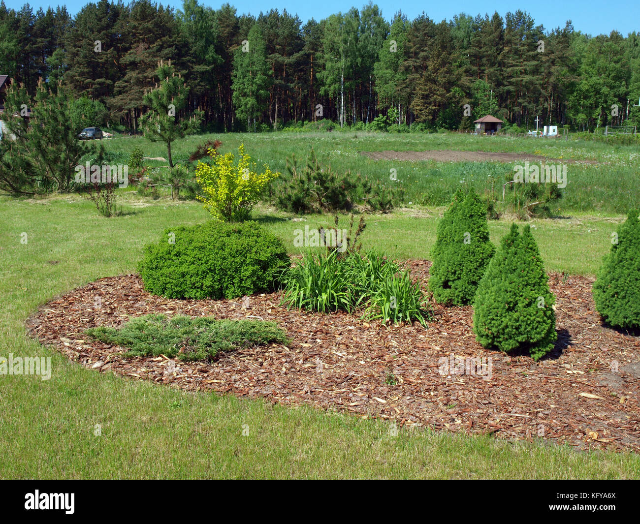 Decorative flower bed mulched with pine tree bark Stock Photo - Alamy