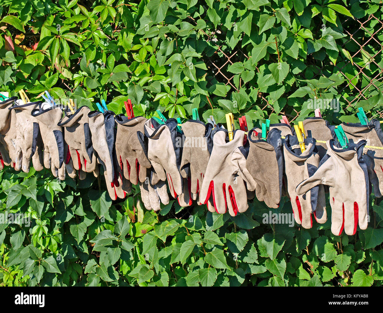 Work gloves are drying on the cord Stock Photo Alamy