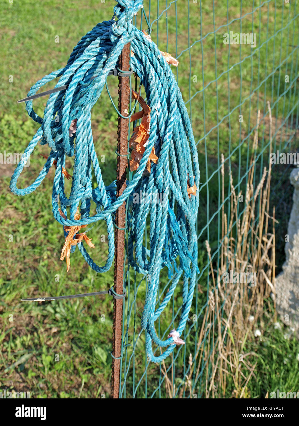 Bundle of blue nylon rope hang on country yard fence Stock Photo - Alamy