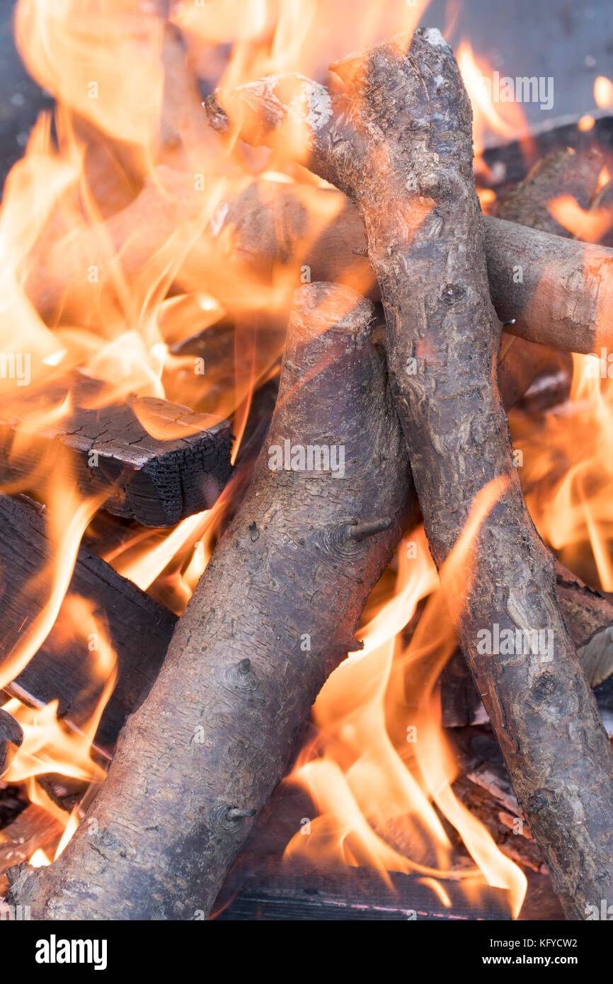 Burning pieces of wood in a campfire Stock Photo - Alamy
