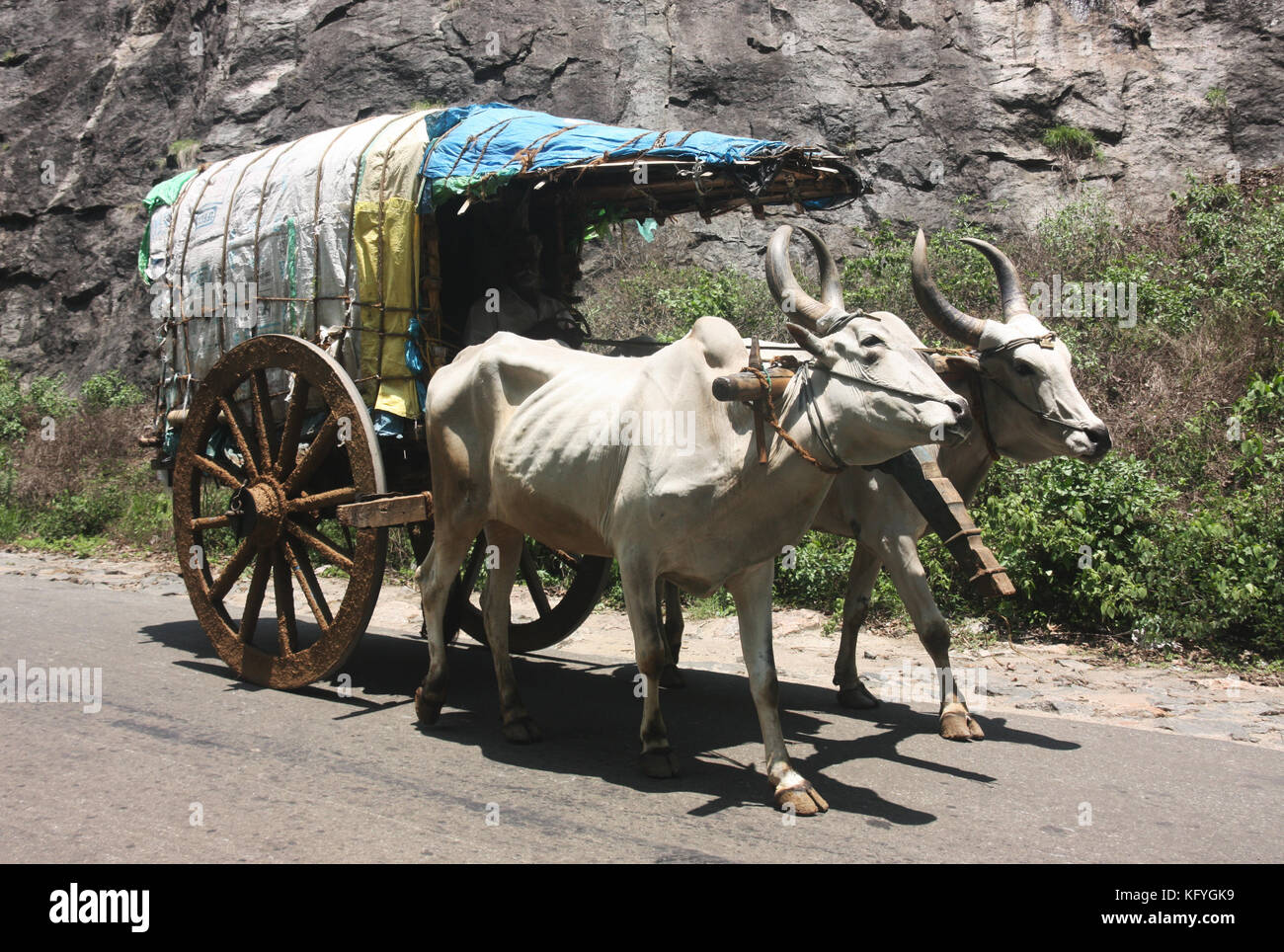 Bullock cart wheel hires stock photography and images Alamy
