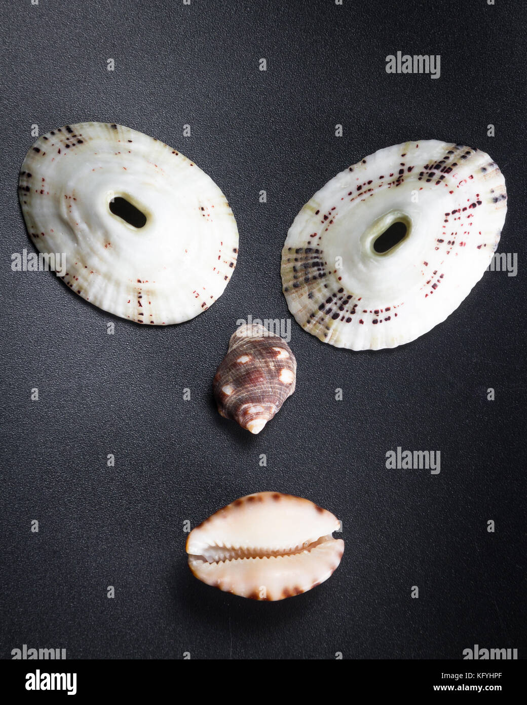 Shell Witha Face Variety of facial features hi-res stock photography and images - Alamy