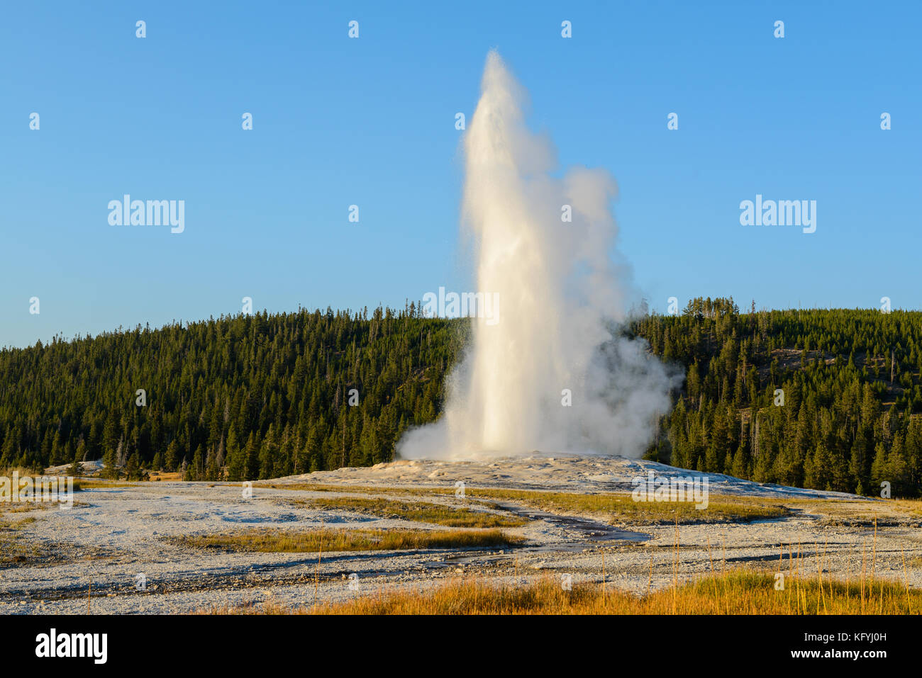 Hot spring explosion. Old Faithful Geyser, Yellowstone National Park, Wyoming, USA Stock Photo