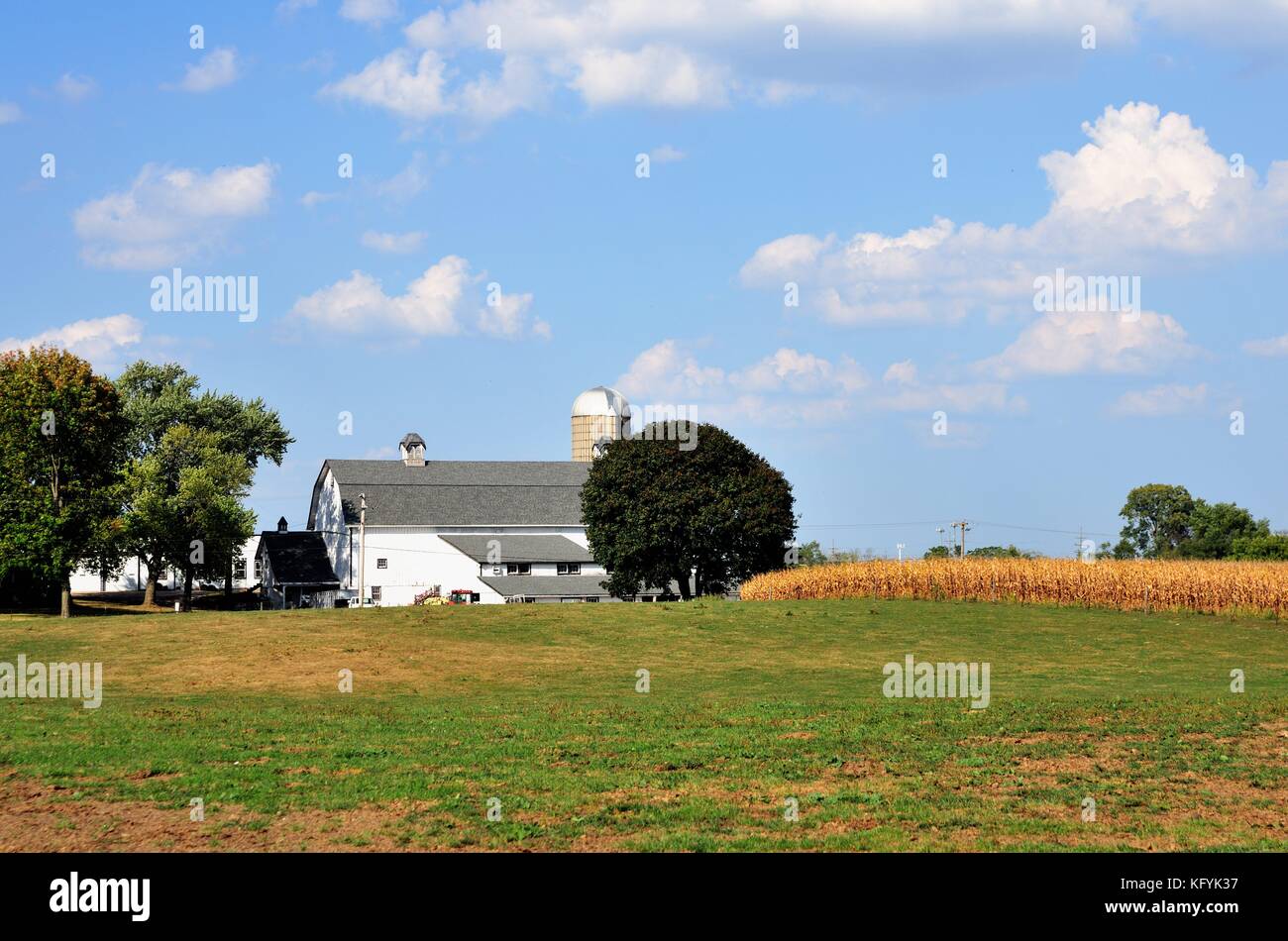 A large barn serving a dairy farm in northeastern Illinois and the