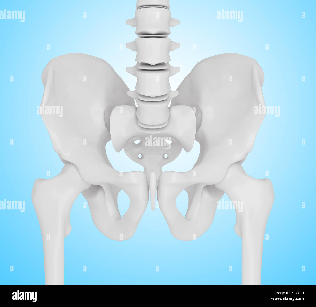 3d rendered illustration. Hip bone, anatomy concept Stock Photo