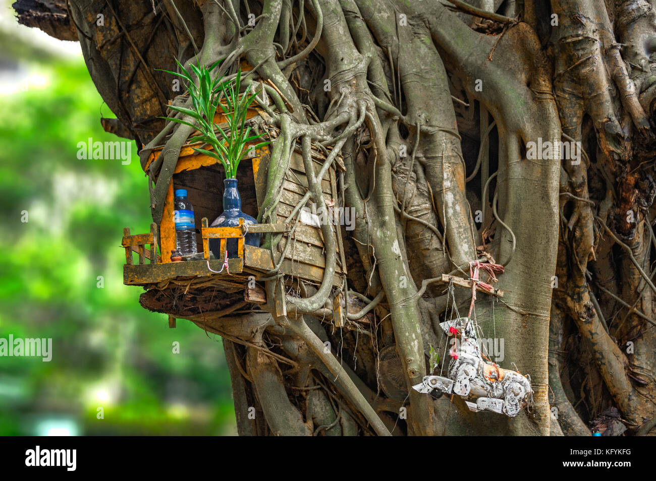 SPIRIT HOUSE AND TREE ROOTS INTERTWINED. Miniature house built for