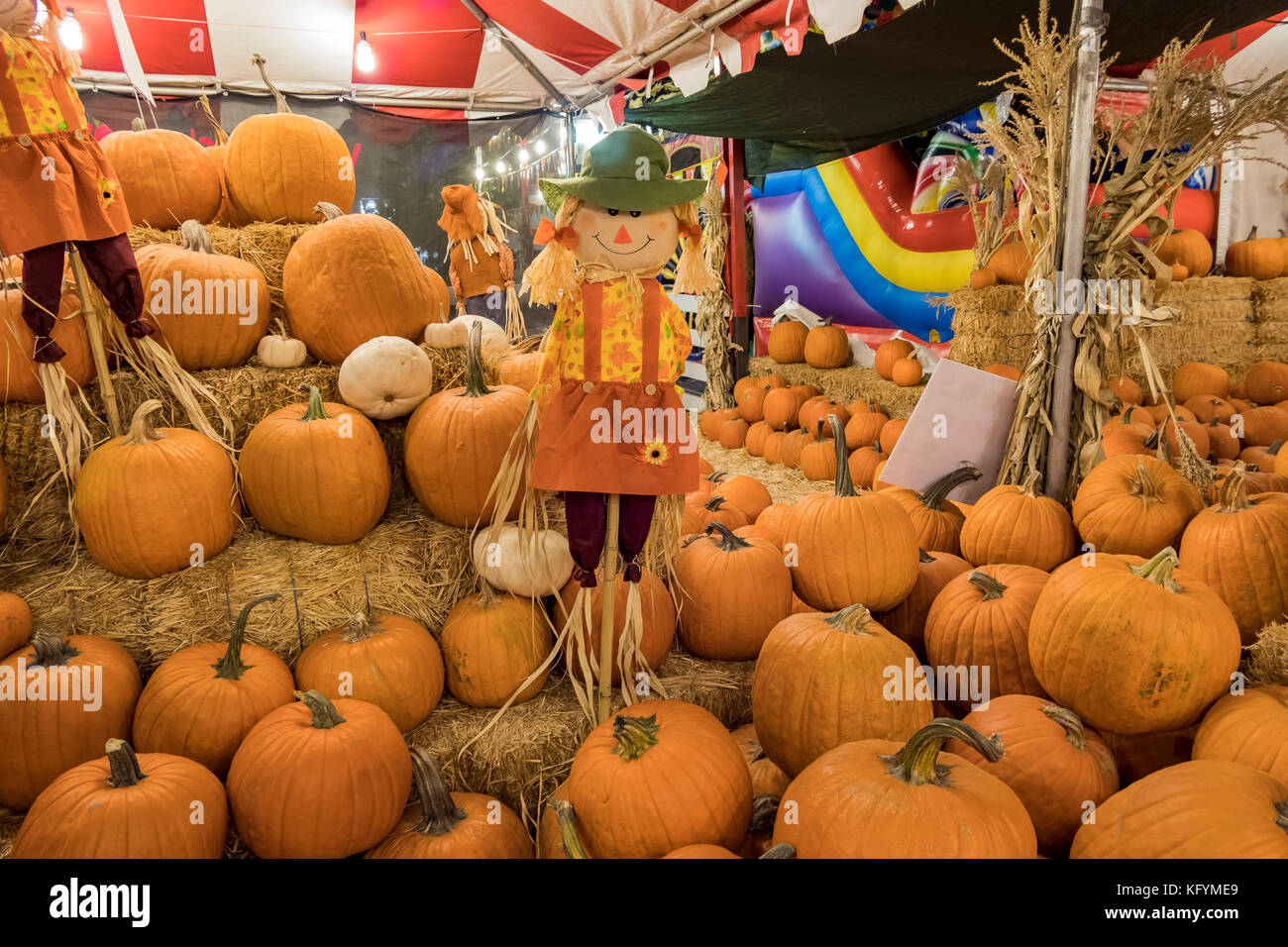 Pasadena, OCT 26 Many Pumpkins selling at a pumpkin patch on OCT 26, 2017 at Pasadena, Los