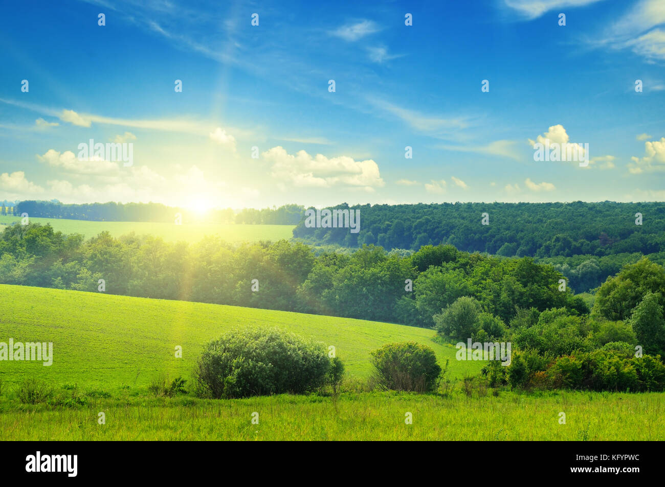 green field and blue sky with light clouds Stock Photo - Alamy