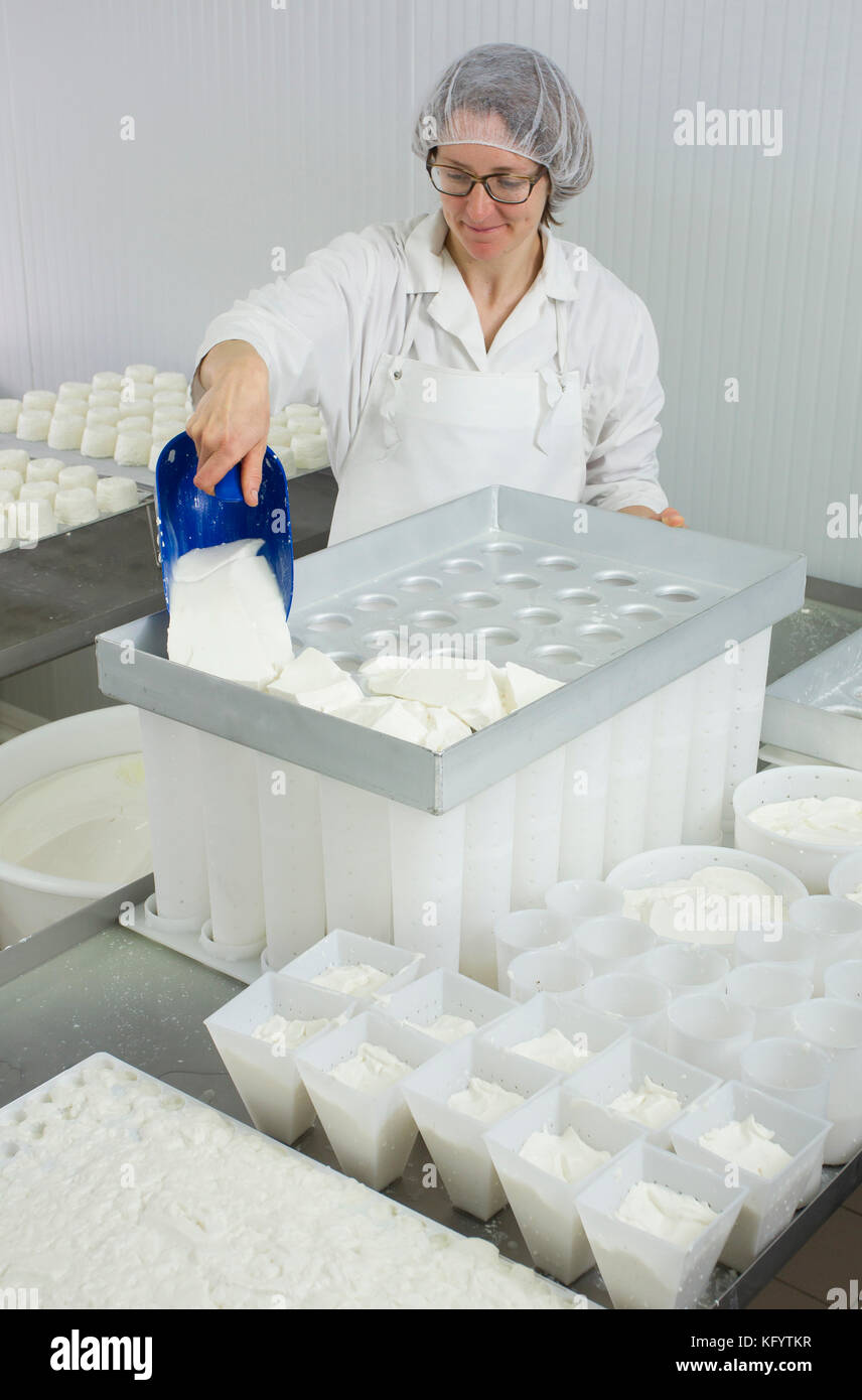 Goat's cheese making at the farm "La Ferme du Petit Quenneval" in
