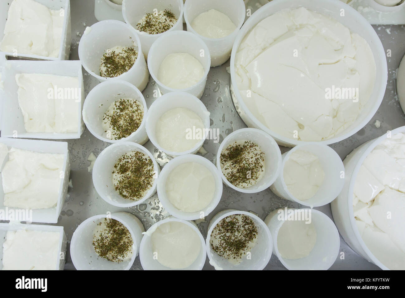 Goat's cheese making at the farm "La Ferme du Petit Quenneval" in