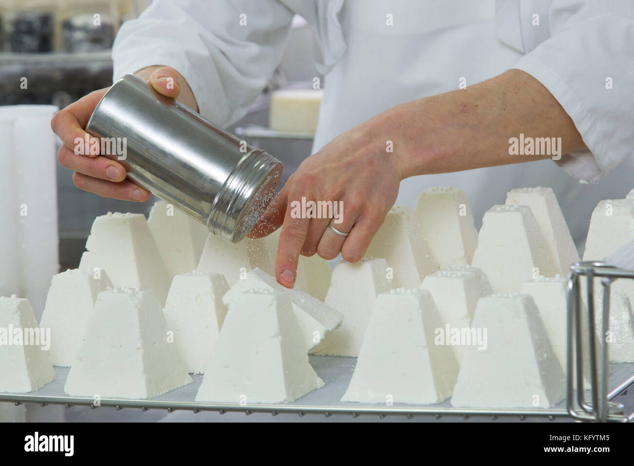 Goat's cheese making at the farm 'La Ferme du Petit Quenneval' in Wirwignes (northern France). Workshop, goat's milk cheese: salting Stock Photo