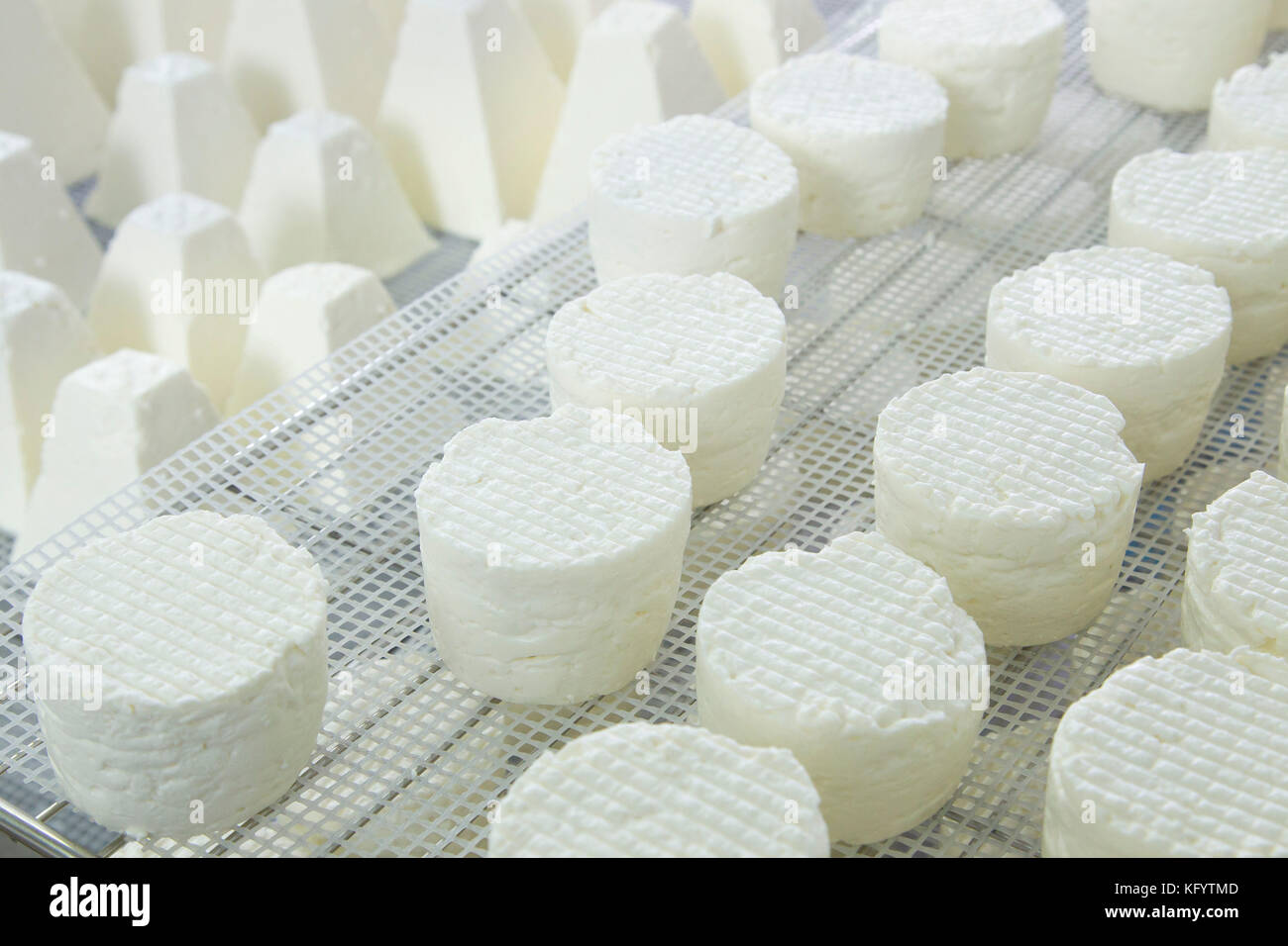 Goat's cheese making at the farm "La Ferme du Petit Quenneval" in
