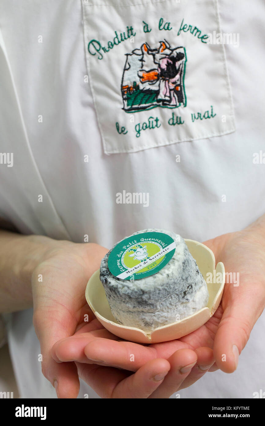 Goat's cheese making at the farm 'La Ferme du Petit Quenneval' in Wirwignes (northern France). Workshop, goat's milk cheese: savory marbled cheese, un Stock Photo