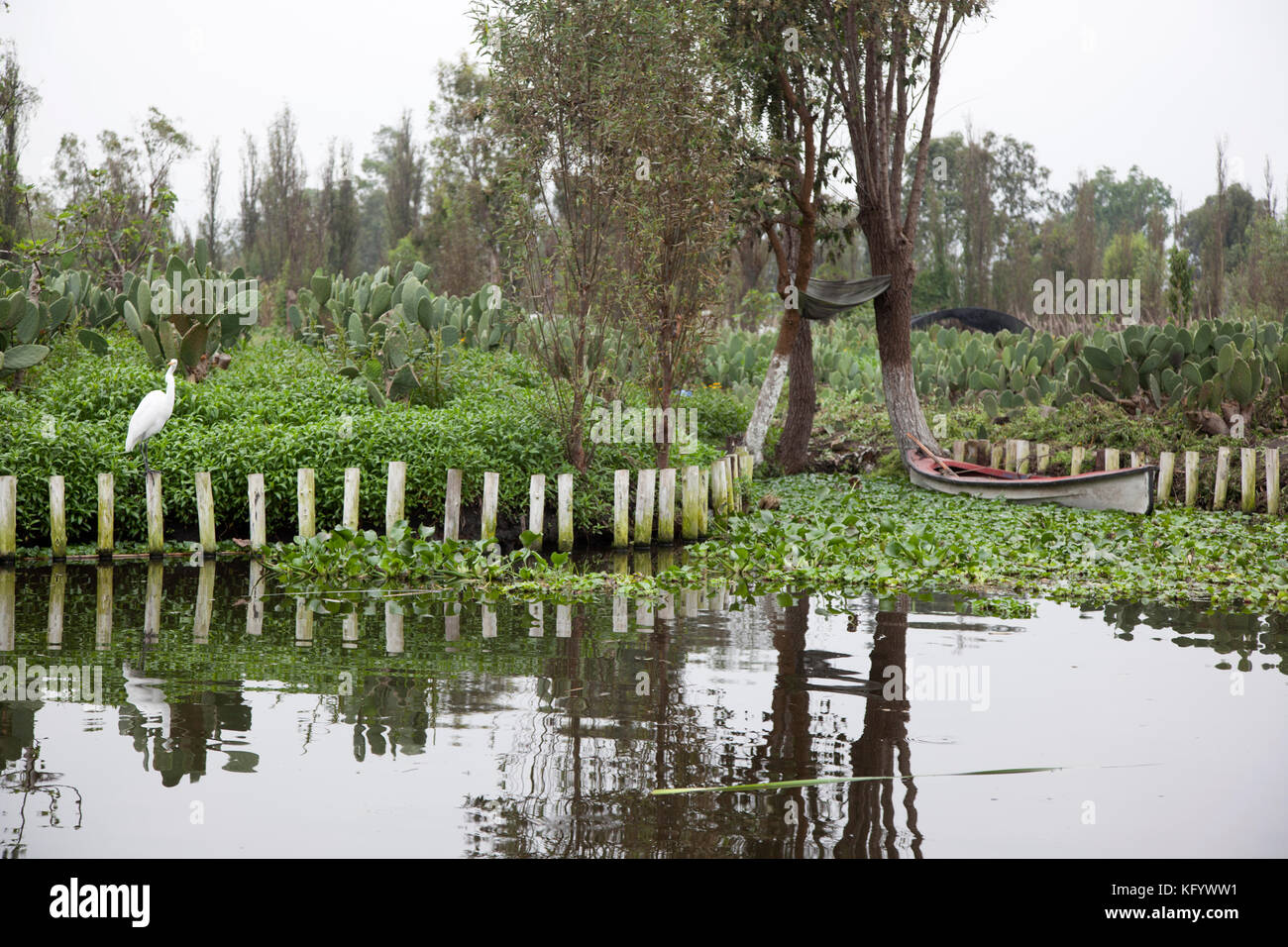 Chinampas, 2200 hectares of farmland on the southern shore of Lake Xochimilco, part of a vast network of lakes and canals that date to the Aztecs. Stock Photo