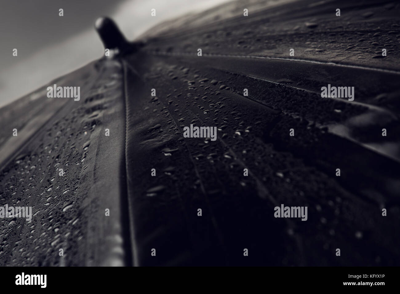 Wet umbrella with raindrops closeup Stock Photo Alamy