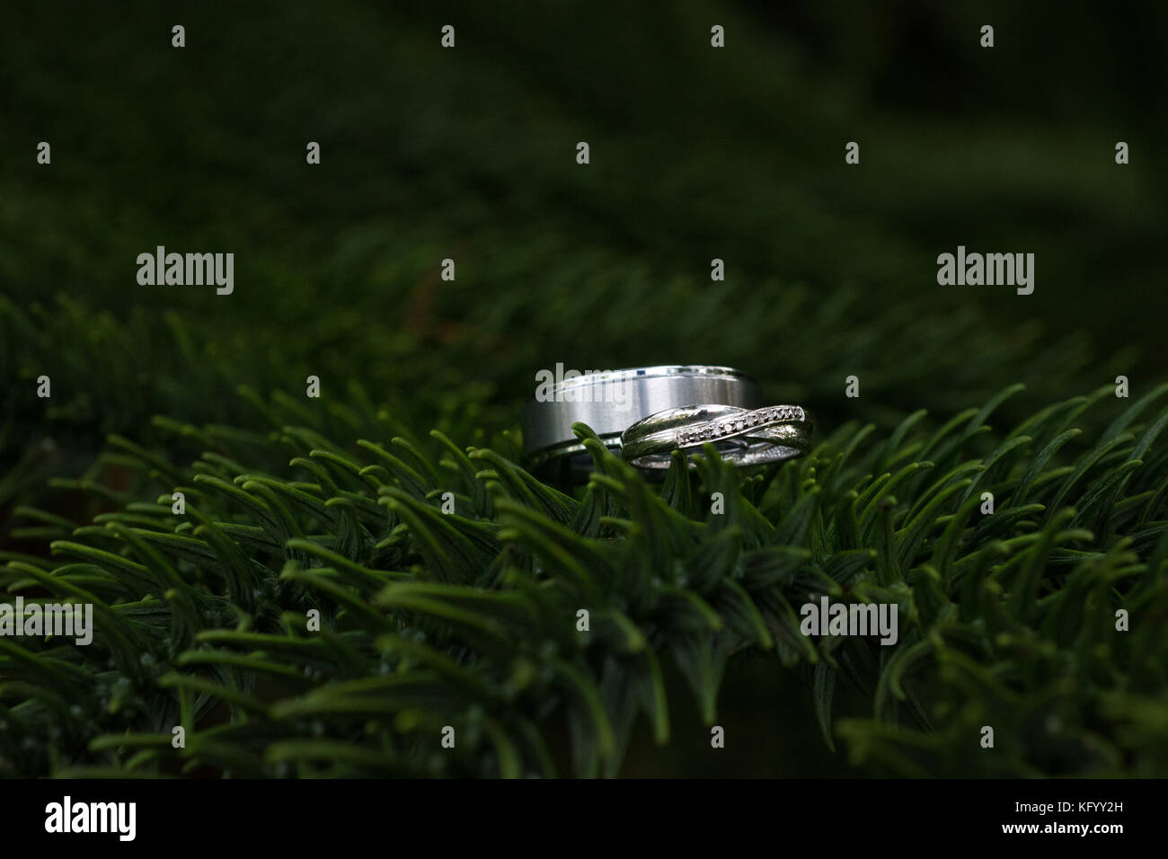 Double wedding ring hires stock photography and images Alamy
