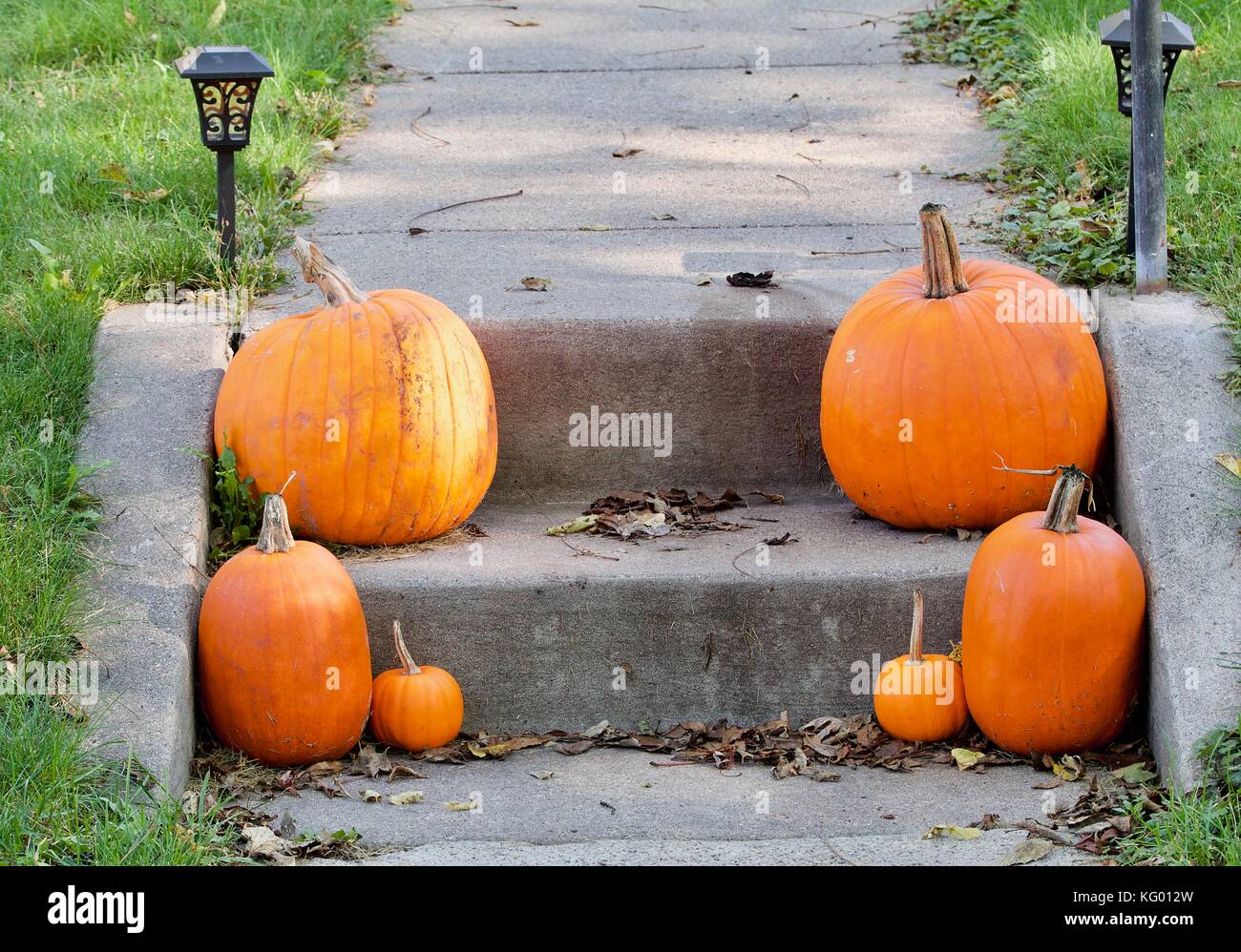 Pumpkins on the step Stock Photo
