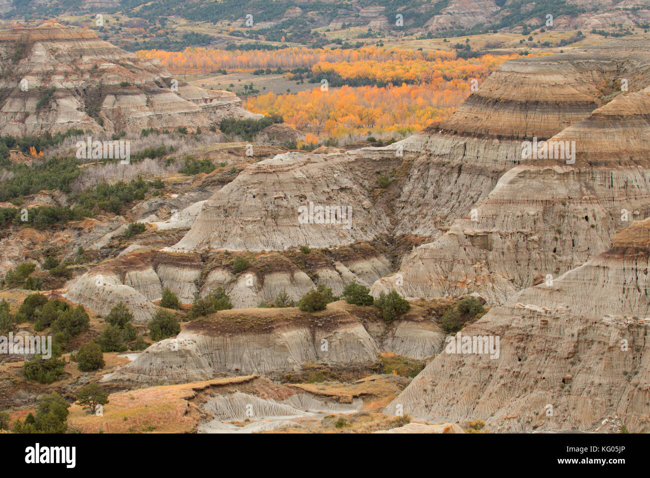 Badlands view above Little Missouri River, Theodore Roosevelt National Park-North Unit, North Dakota Stock Photo