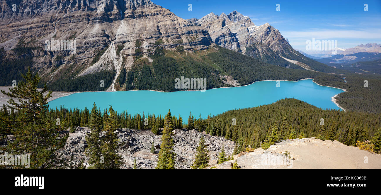 Peyto Lake in Alberta Canada Stock Photo - Alamy
