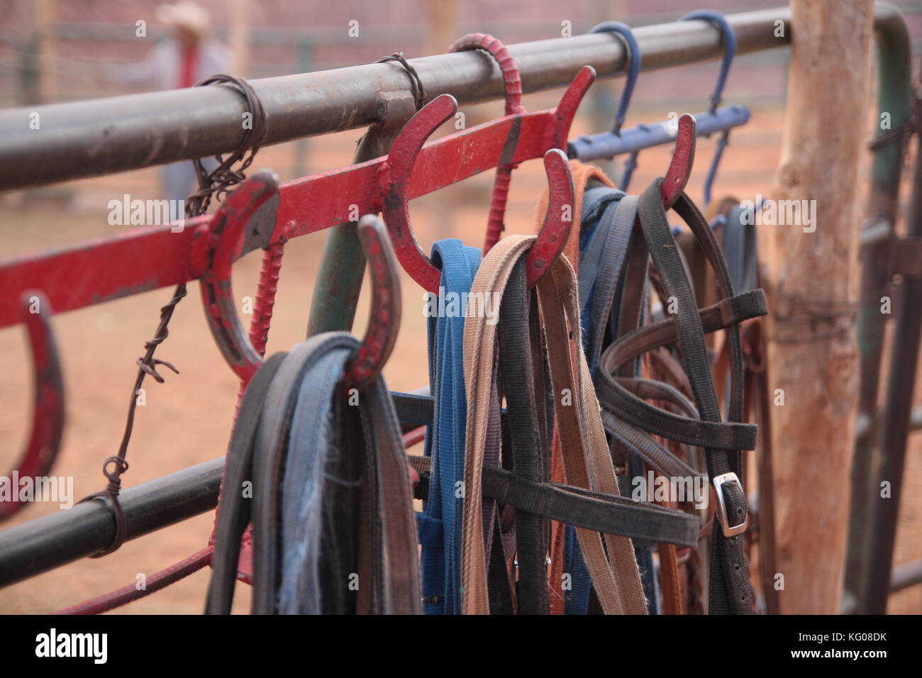 Bridles hanging from tack hooks on a metal horse fence. Close up detail. Monument Valley Navajo Tribal Park, Arizona. Stock Photo