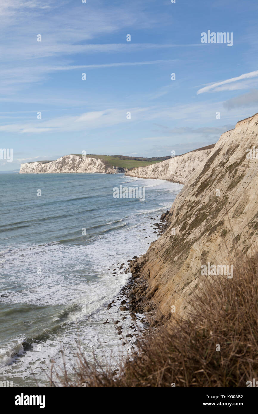 Chalk cliff top, Isle of Wight Stock Photo Alamy