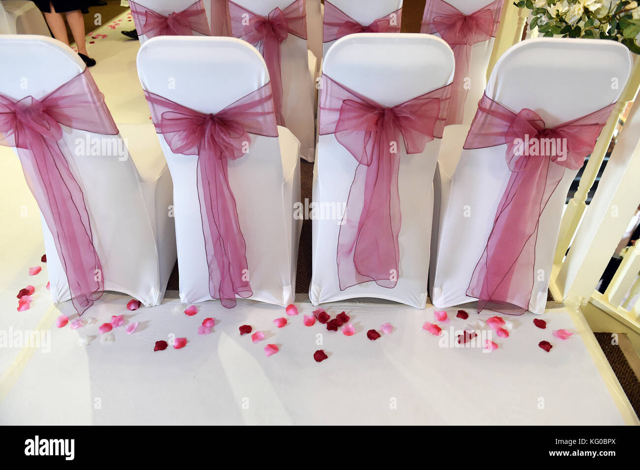 Pink wedding chair covers and sashes at a wedding Stock Photo