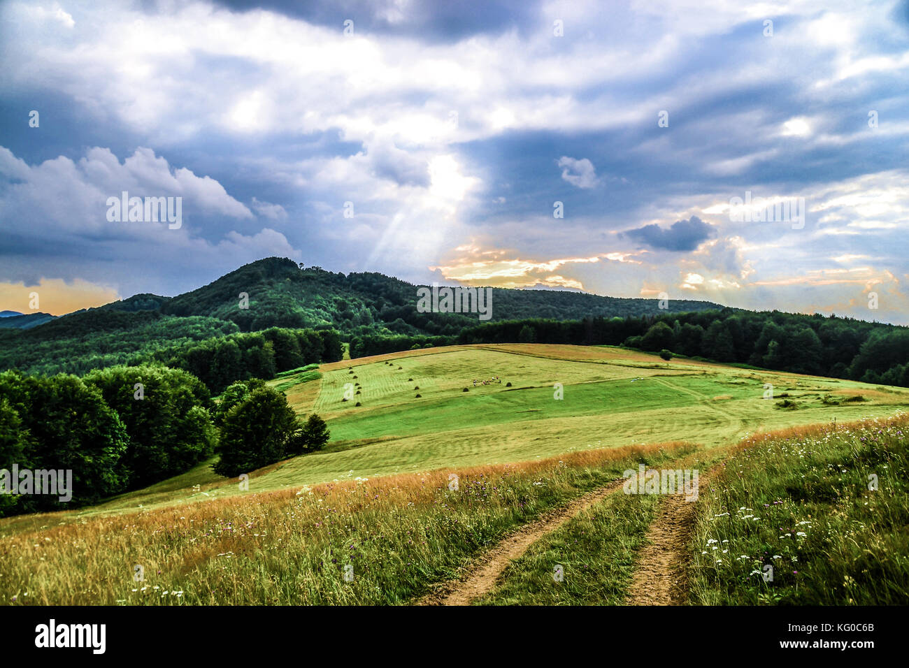 Carpathian mountains Stock Photo