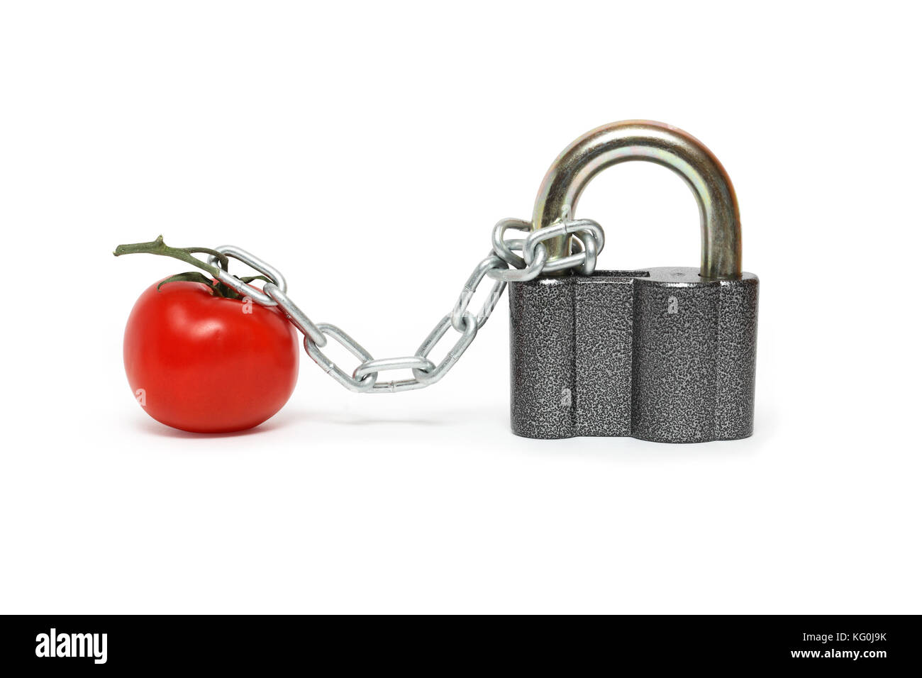 Fresh tomato attached to padlock with metal chain. Isolated on white with clipping path Stock Photo