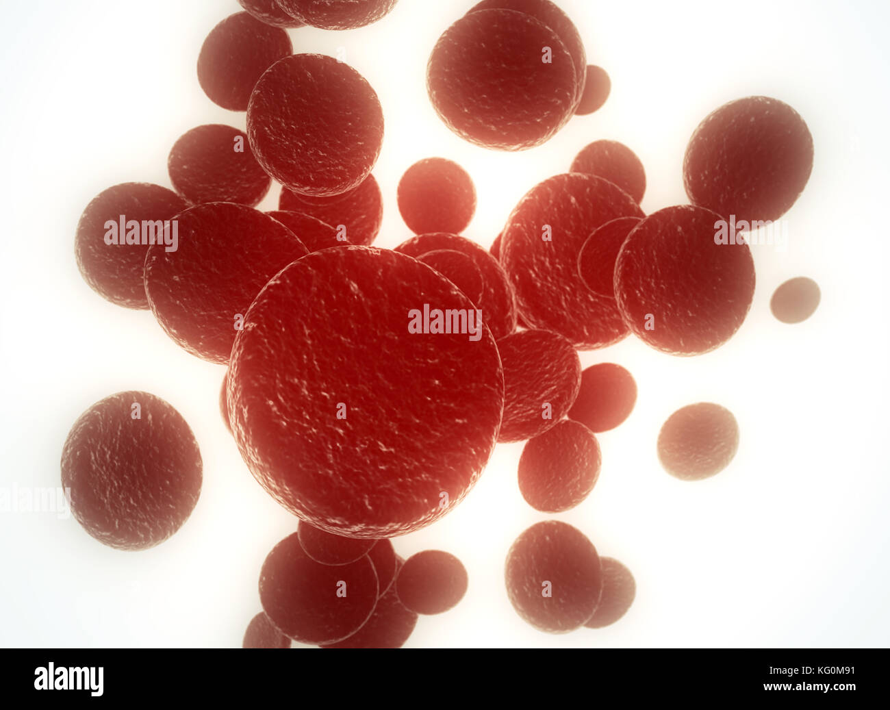 Flow of blood cells back lit Stock Photo