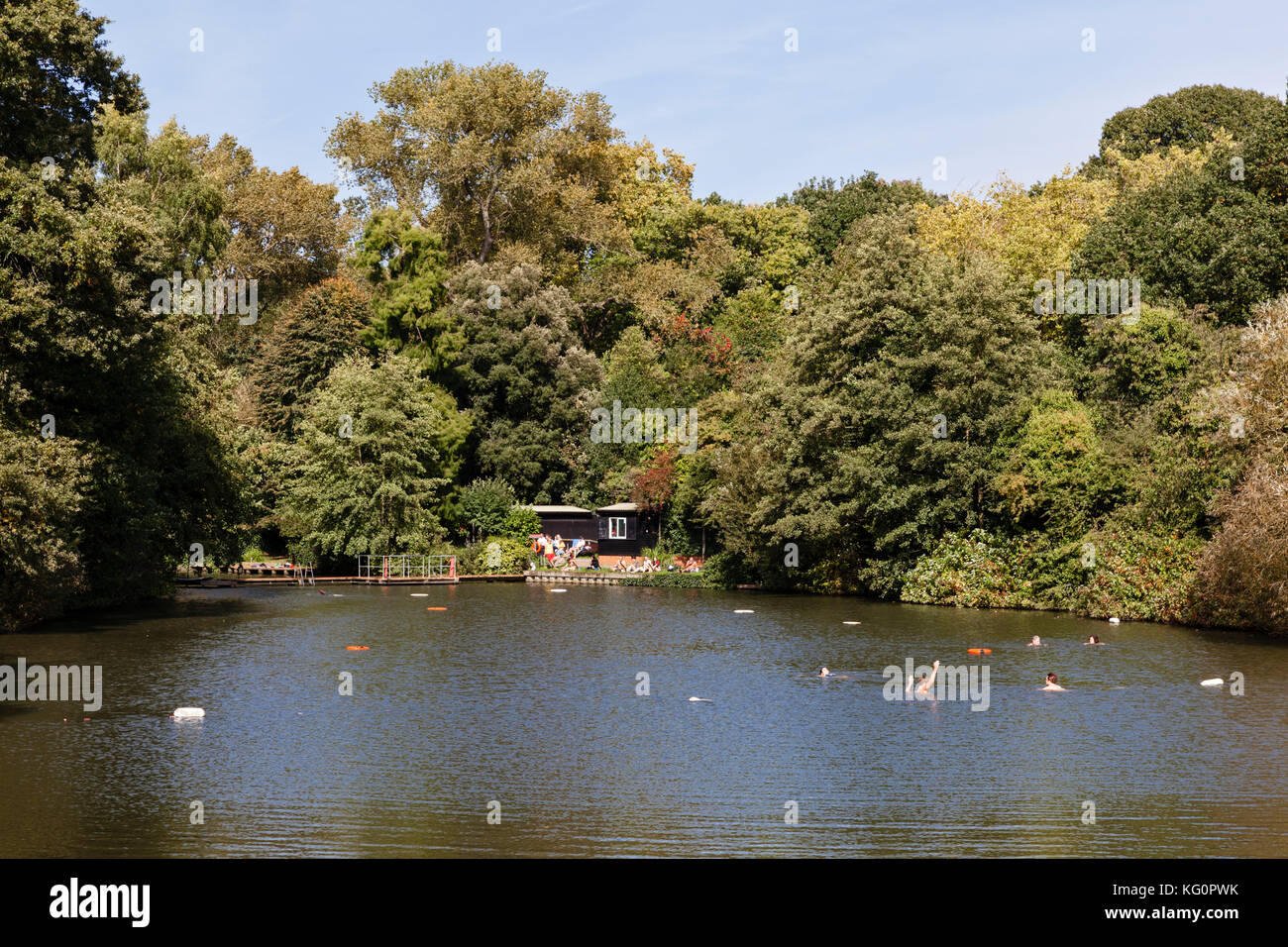 Highgate mixed bathing pond on Hampstead Heath in London, United Kingdom. Stock Photo